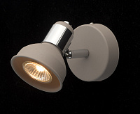 Спот Хоф 552020401