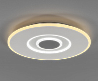 Потолочный светильник 90219/1 белый/серый