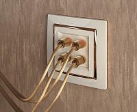 Веркель Рамка на 1 пост (Shabb слоновая кость/золото) WL03-Frame-01-ivory-GD