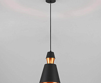 Подвесной светильник 50172/1 черный