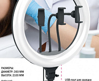 Светильник напольный TL-603B, диммируемый черный 603В-36W