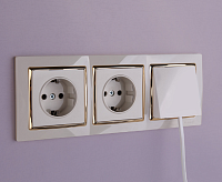 Веркель Розетка 1-ая с/з и шторками (слоновая кость) WL03-SKG-01-IP20-ivory / W1171103