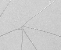 287247 Обои Ateliero Tempo (6)