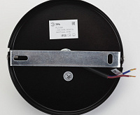 Подвесной светильник ЭРА PL10 BK черный