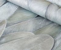 70535-47 Обои 10 ВВ ГТ ФО AS Палитра Сидней (6)