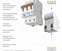Автоматический выключатель 3P 16А (C) 4,5кА W903P164 Werkel