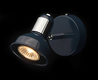 Спот Хоф 552020701