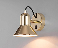 Спот - 20082/1 золото сн/пр