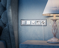 Веркель Розетка 1-ая с/з (серебряный) WL06-SKG-01-IP20/W1171006