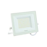 Прожектор светодиодный  100W 6400K IP65 белый LL-922