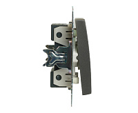 Катрин Выключатель 2-кл с подсветкой графит GLS10-7102-06