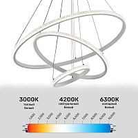 Люстра светодиодная WD6023/3P-WT