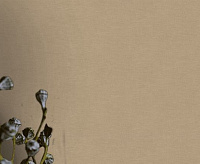 Обои Pantone  Victoria Stenova 989926 (6)