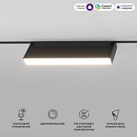 Slim Magnetic Умный трековый светильник 12W 2700K-6500K Dim Kos черный черный