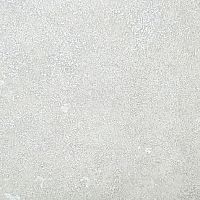 Обои Wiganford Cristal АК2081