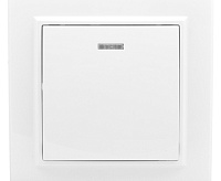 Выключатель 1-клавишный с индикатором 10А EKF ERV10-121-10