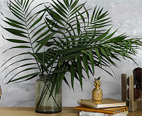 Обои Golden  Victoria Stenova 281267 сн/пр