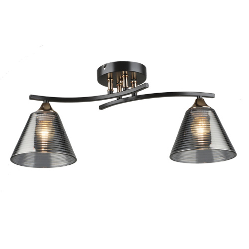 Люстра WD3636/2C-CF-FGD-SMK Люстра WD3636/2C-CF-FGD-SMK