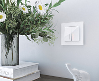 Веркель Рамка на 1 пост (белый матовый/стекло) WL01-Frame-01/W0011105