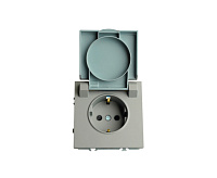 Эмили Розетка 1-местная с/з с крышкой, платиново-серый, RST16-5112-10