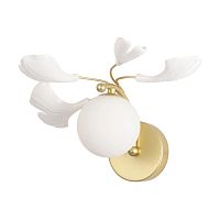 Бра Crystal Lux COLIBRI AP1 GOLD