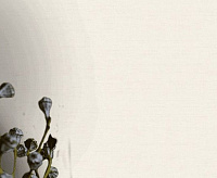 889102 Обои Ateliero Provance (6) 