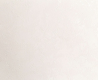 Обои Палитра HC71542-12 Colibri 