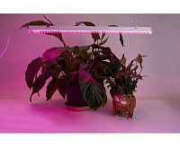 Светодиодный светильник для растений 14W T5i-900 IP40 AL7001