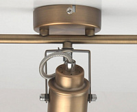 Спот Вальтер 551020603