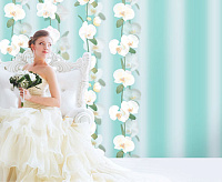 Обои Elysium17600 Е Орхидея 