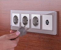 Розетка с заземлением, шторками и USBх2 (серебряный) WL06-SKGS-USBx2-IP20