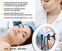 Светильник напольный TL-603B, диммируемый черный 603В-36W