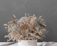 Обои Neva Victoria Stenova 281589 (6) сн/пр