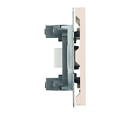Эмили Розетка HDMI 2.0 Type A, кашемир, RST00-5118-08