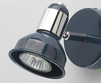 Спот Хоф 552020701