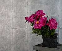  Обои Marburg LOFT 59632 сн/пр