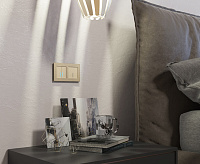 Веркель Рамка на 2 поста (шампань алюминий) W0021711