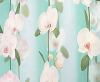 Обои Elysium17600 Е Орхидея 