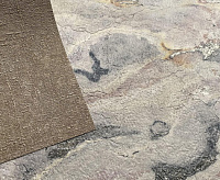 Обои Rash 947229