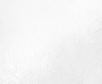 60821-02 Обои Erismann Leto