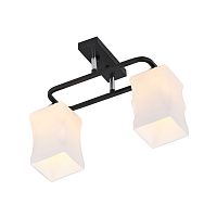 Люстра 06595/2 BLACK+CHROME 