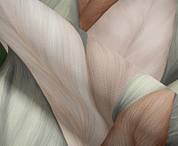 TC72480-72 Обои 10 ВВ ГТ ФО Палитра Trend Nature