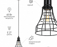 Подвесной светильник ЭРА PL10 BK черный