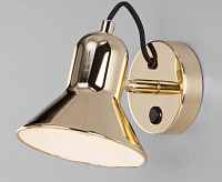 Спот - 20082/1 золото сн/пр