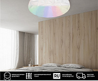 Светильник светодиодный накладной 90W 4200-6400К ПДУ 45438.45.90.77RGB