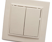 Эрна Выключатель 2-кл в сборе слоновая кость PSW10-9004-02