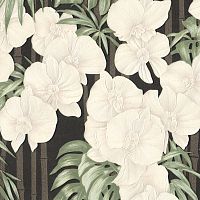 9072-22 Обои Eurodecor Black Orchid