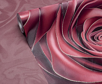 589298 Victoria Stenova Euforia