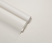 HC71822-25 Обои Home Color Racing Team (8) ВВ ГТ ФО 1,06*10м