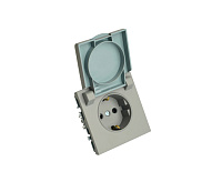 Эмили Розетка 1-местная с/з с крышкой, платиново-серый, RST16-5112-10